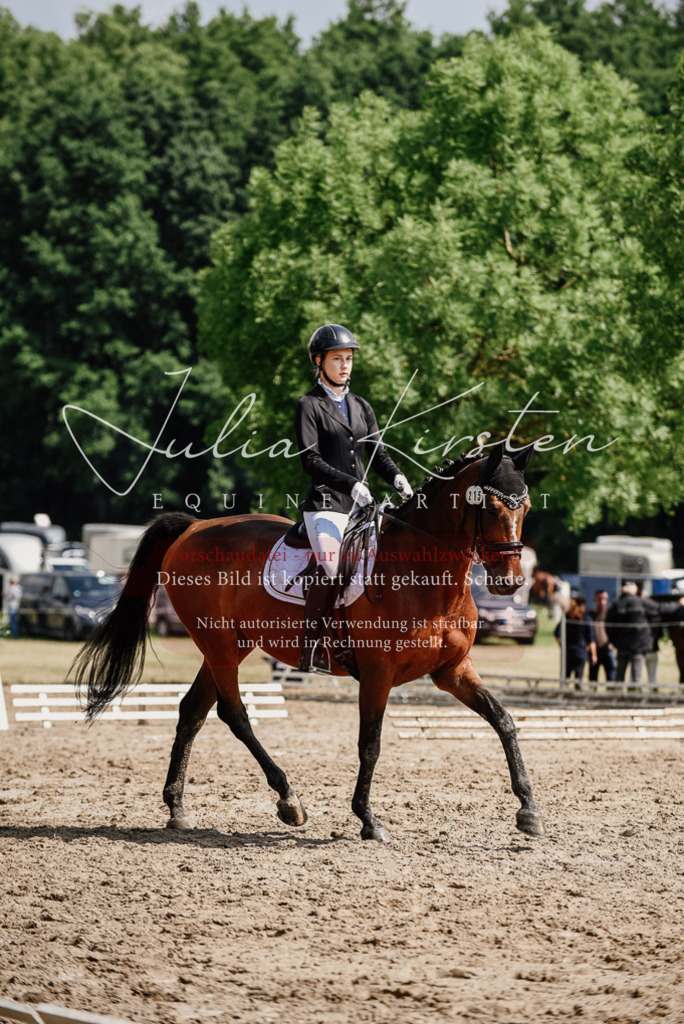 DSC_0468 | Pferde- und Turnierfotografie in Westsachsen. Pferdeportraits, Auftragszeichnungen und intuitive Kunst.