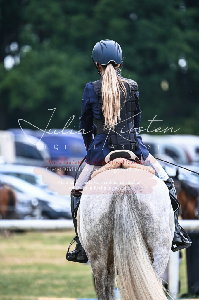 DSC_8161 | Pferde- und Turnierfotografie in Westsachsen. Pferdeportraits, Auftragszeichnungen und intuitive Kunst.