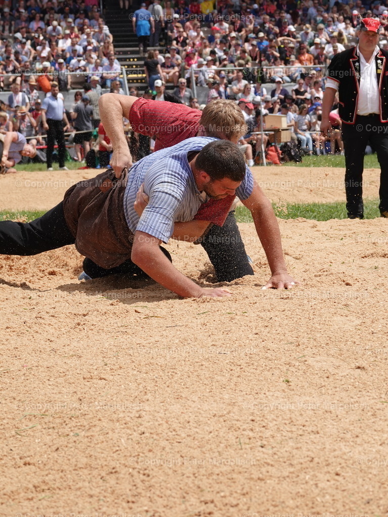 DSC04949 | Schwingen - Realisiert mit Pictrs.com