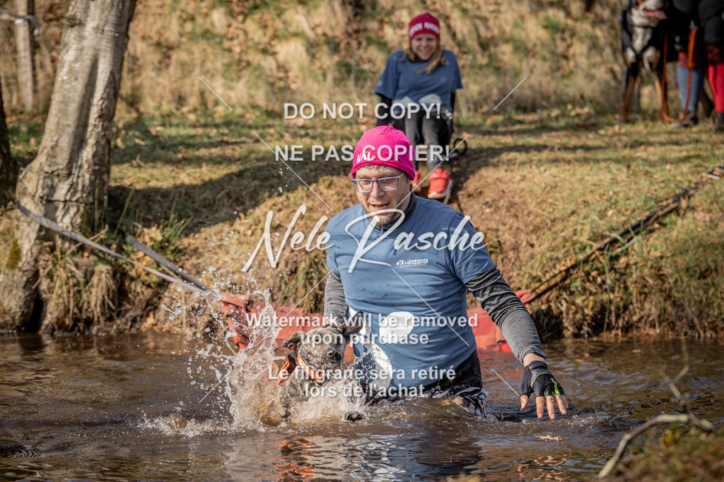 nelerasche_FS1330-1400_20 | nelerasche