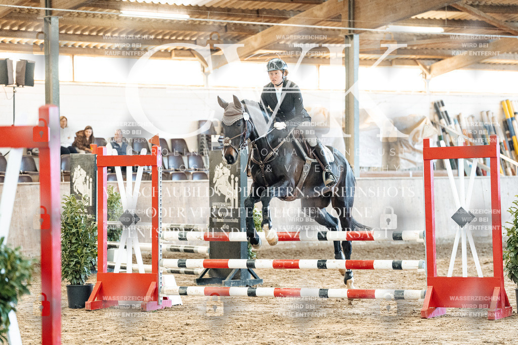 CK904169 | Turnierfotografie Pferdefotografie Trier Rheinland-Pfalz Pferdesport Reitsport Tierfotografie Sportfotografie Pferdevideo Pferdevideografie Equestrianvideography equestrianphotography  - Realisiert mit Pictrs.com
