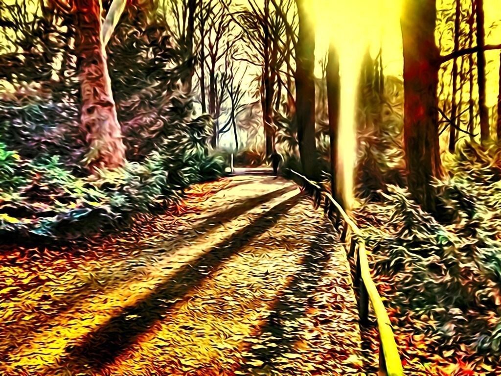 IMG_20141206_113632634_HDR_fhdr_27 | maramore - Realisiert mit Pictrs.com