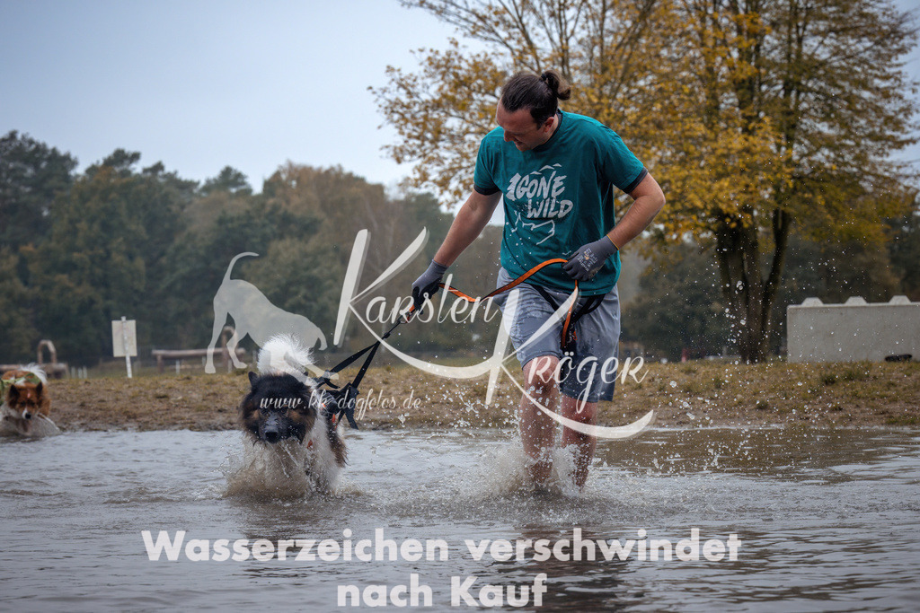 1303_ZZ92425 | kk-dogfotos