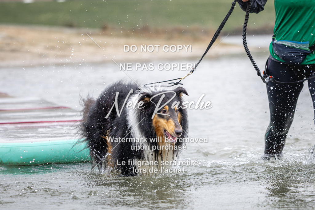 nelerasche_Hulsbeek_Sa1030-1100_777 | nelerasche
