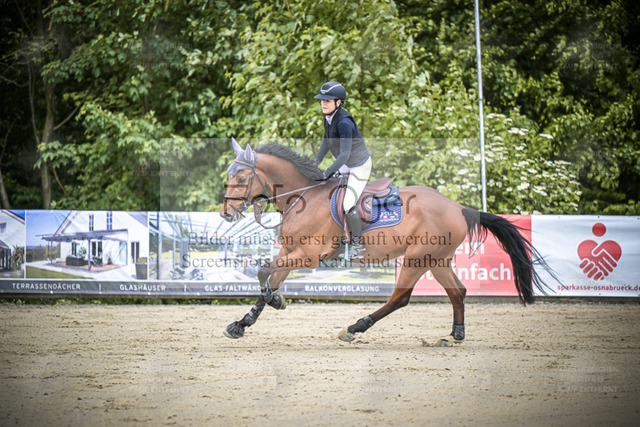 DOS_3558 | Entdecke hochwertige Reitturnierfotos von Foto Oger. Professionell, emotional und authentisch – jetzt Lieblingsmomente im Shop bestellen. - Realized with Pictrs.com