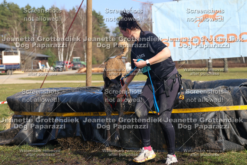 Dog Paparazzi - Strongdog North Mrz26-3210 | Dog Paparazzi Jeanette Grottendiek Fotografie & Videografie - Realisiert mit Pictrs.com