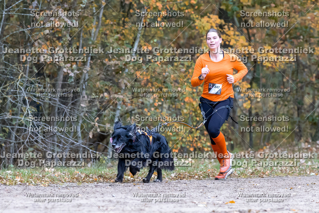 Dog Paparazzi - SD CaniX Championship 2025-516 | Dog Paparazzi Jeanette Grottendiek Fotografie & Videografie - Realisiert mit Pictrs.com