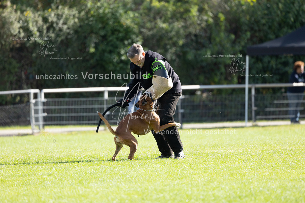 _16A5377 | Einzigartige Fotos von Hunden & Menschen –Actionfotos, Portraits, Vereinsaufnahmen & Paarshootings – authentisch, lebendig & mit Herz.