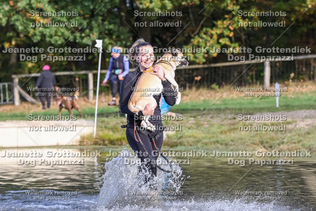 Dog Paparazzi - Strongdog 10-25-8399 | Dog Paparazzi Jeanette Grottendiek Fotografie & Videografie - Realisiert mit Pictrs.com