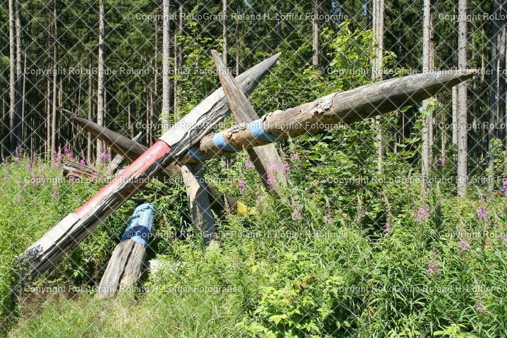 Lotharpfad-03 | Mikado aus umgefallenen Baumstämmen vom Sturm Lothar - Realisiert mit Pictrs.com