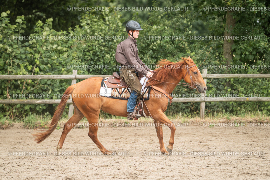 DSC04092 | Pferdegrafie