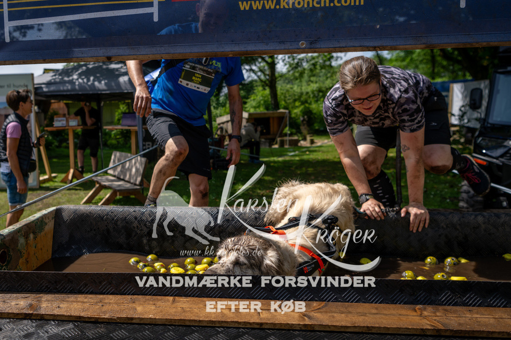 1145_ZZ94836 | kk-dogfotos