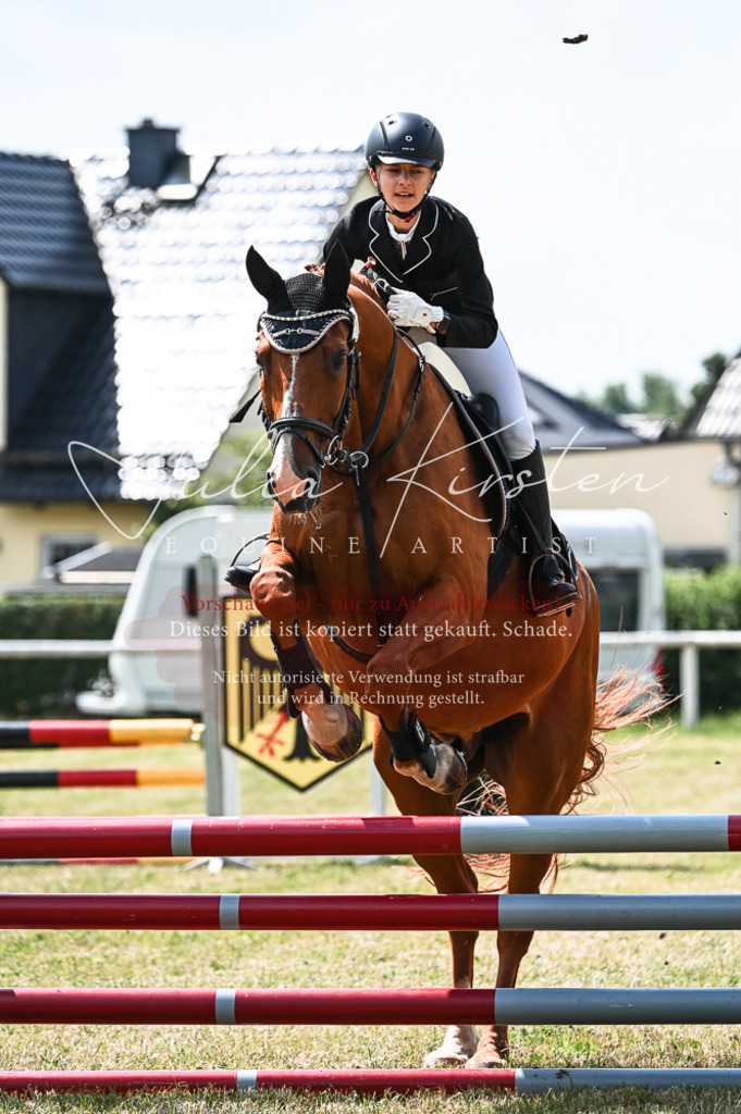 DSC_9176 | Pferde- und Turnierfotografie in Westsachsen. Pferdeportraits, Auftragszeichnungen und intuitive Kunst.