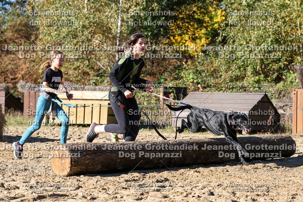 Dog Paparazzi - Strongdog 10-25-2544 | Dog Paparazzi Jeanette Grottendiek Fotografie & Videografie - Realisiert mit Pictrs.com