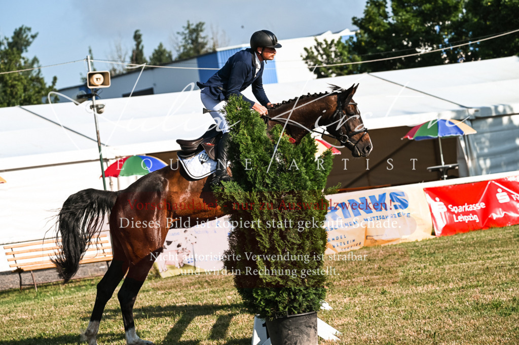 DSC_7442 | Pferde- und Turnierfotografie in Westsachsen. Pferdeportraits, Auftragszeichnungen und intuitive Kunst.