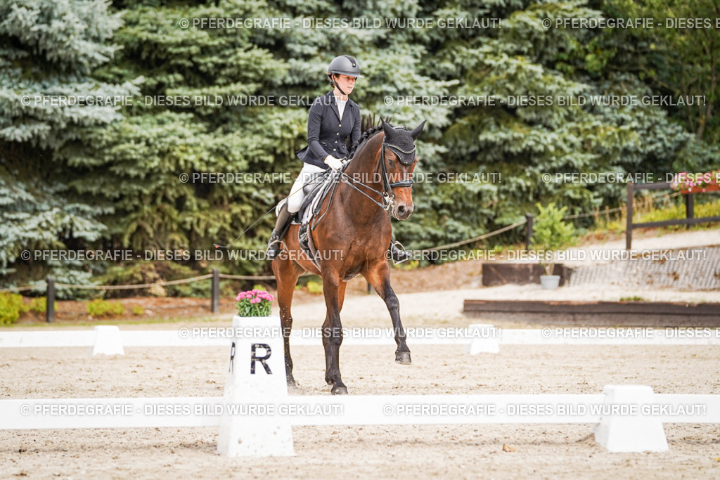 DSC05858 | Pferdegrafie