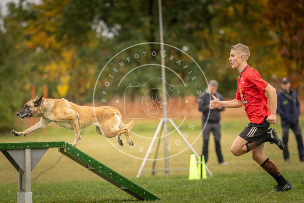 Pfotenfotografie_DV3A6742 | Hundefotografie, Tierfotograf, Pfotenfotografie, Fotoshooting Hund, Hunde Portrait, Hundesport, Hundeportraits, Heideshooting, Hunde, Sportfotograf, Hundefotograf, Turnierhundsport, THS,  - Realisiert mit Pictrs.com