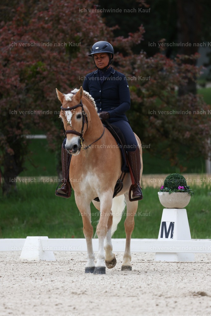 PI26_DR_241_Stoibphotography_C2_L6660A.jpg | working equitationturnier fotograf videograf stoibphotography marixx film working equitation deutschland reitsport turnierfotografie eventfotografie equestrian events