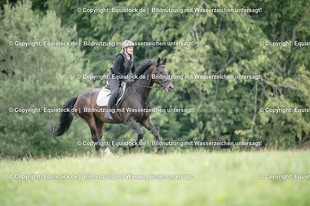 20250726_Vielseitigkeitslehrgang-Marbach_0455 | Foto: Thomas Hartig