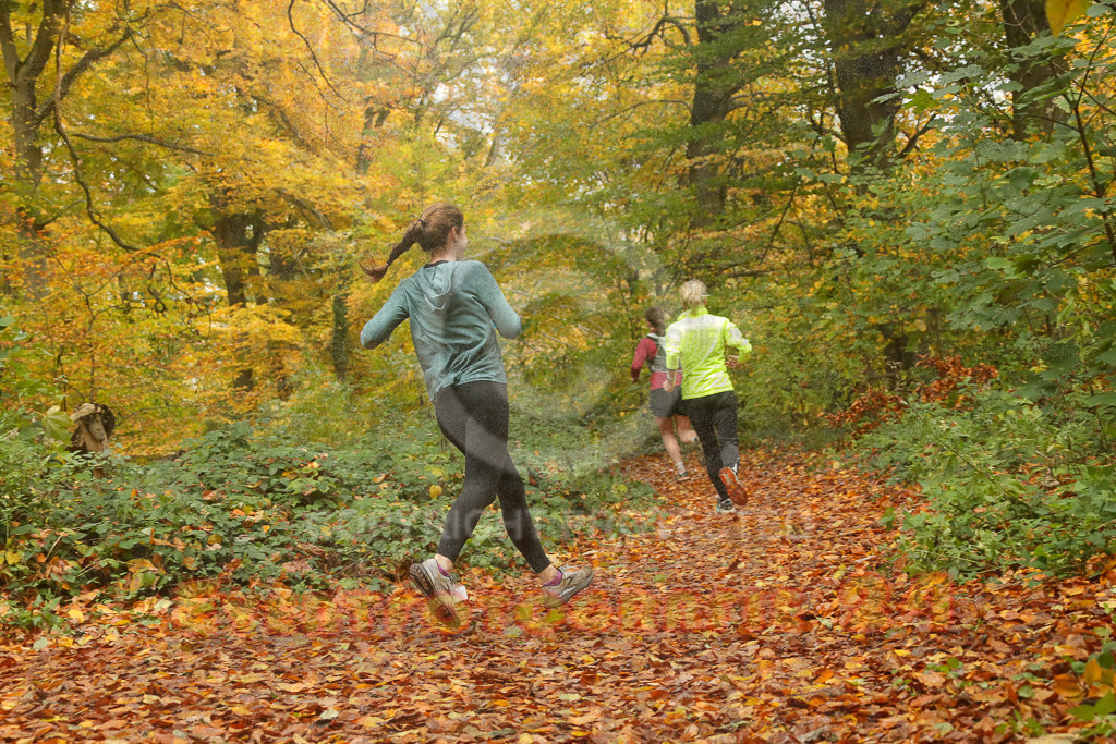 251026_1316_EX2_8404 | Eventfotografie 24Sport- und Eventfotografie