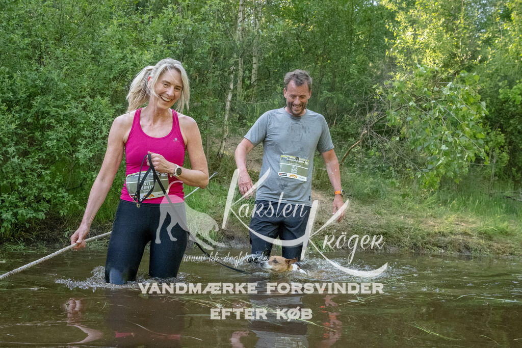 1739DKK992322 | kk-dogfotos