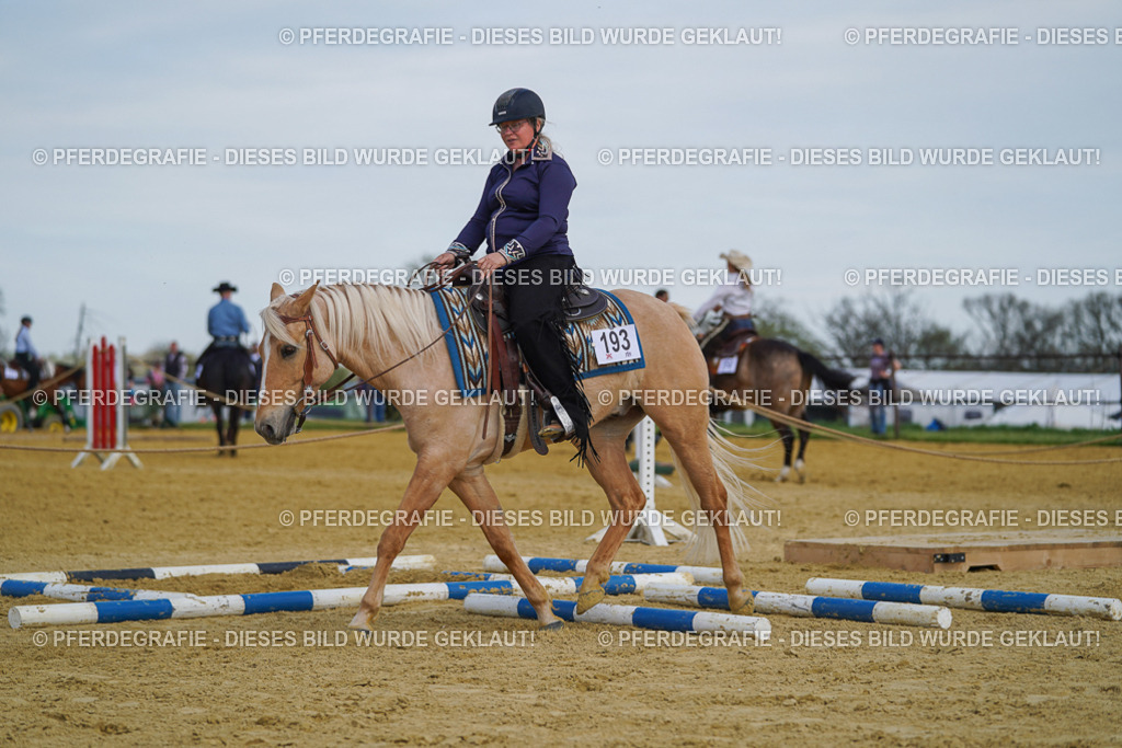 DSC05150 | Pferdegrafie