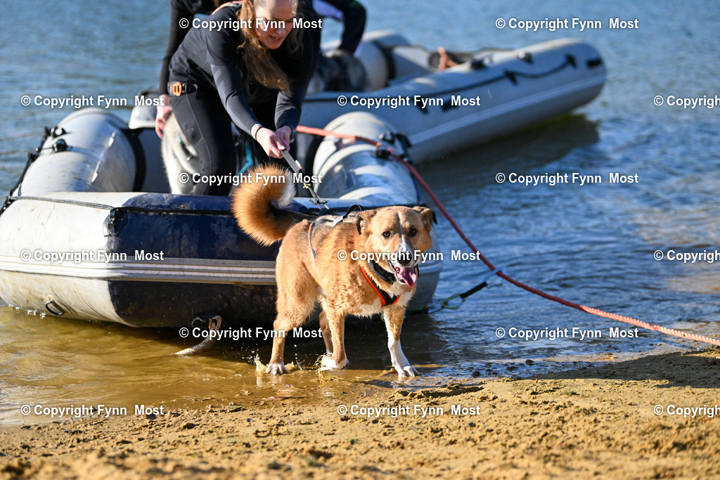 DSC_8405 | Hallo und herzlich Willkommen auf meiner Shop-Seite Fynn Most.

Ich wünsche Dir viel Spaß beim stöbern durch die Bilder, wenn Du Fragen hast oder Bilder vermisst, kannst du mir gerne eine Nachricht schreiben. - Realisiert mit Pictrs.com