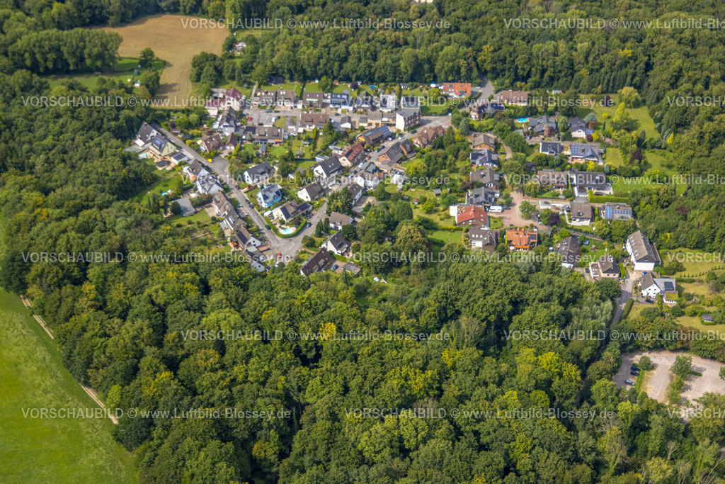 Witten250804537 | Luftbild, Naturschutzgebiet NSG Dorneywald mit Waldsiedlung Dorneystraße, Stockum, Witten, Ruhrgebiet, Nordrhein-Westfalen, Deutschland