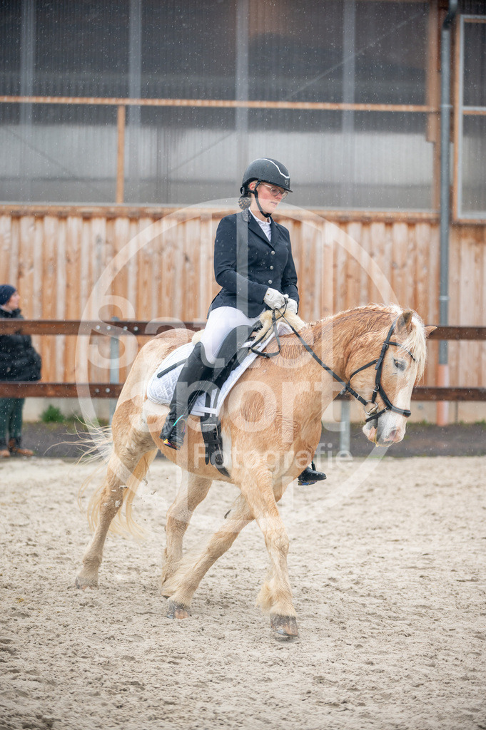 DSC_7281 | sattelsport - Realisiert mit Pictrs.com