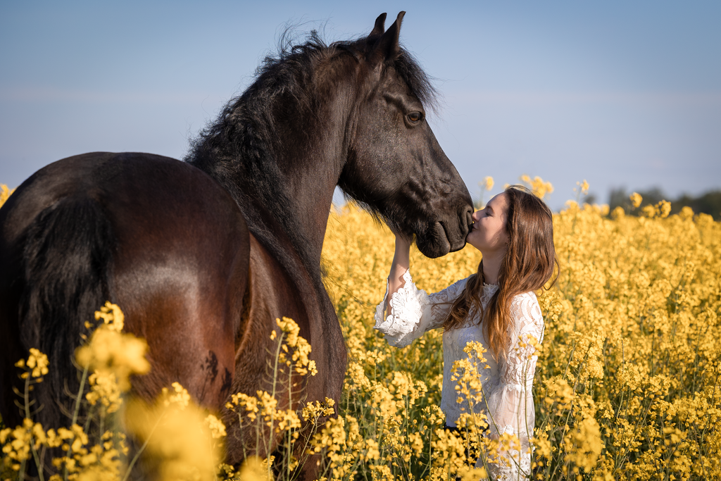 1B1A5728_o | Emotionale Pferde- & People-Fotografie rund um Heidelberg, Leimen & Umgebung. Natürliche Fotos von Pferd, Mensch & Familie. Jetzt Termin sichern!