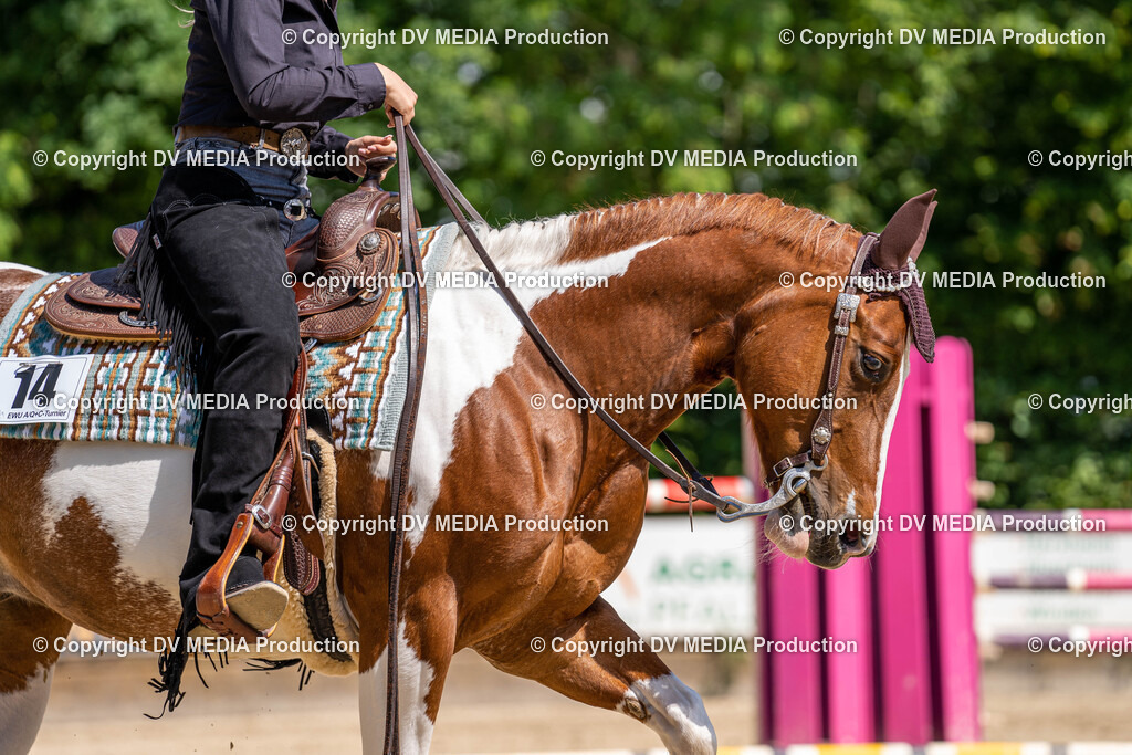 Zeiskam Tag 2-1004 | dv-media-shop - Realisiert mit Pictrs.com