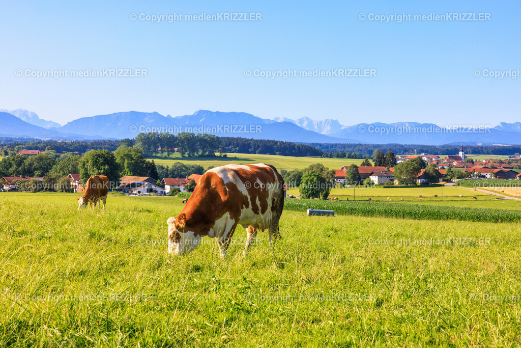 Otting | medienkrizzler - Realisiert mit Pictrs.com