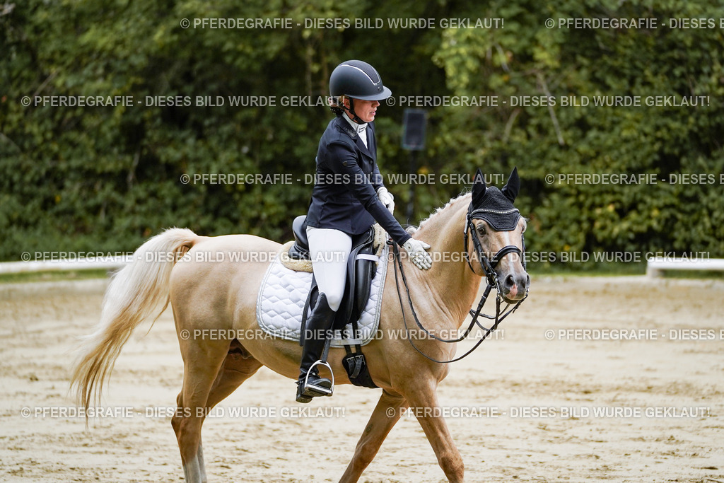 DSC09065 | Pferdegrafie