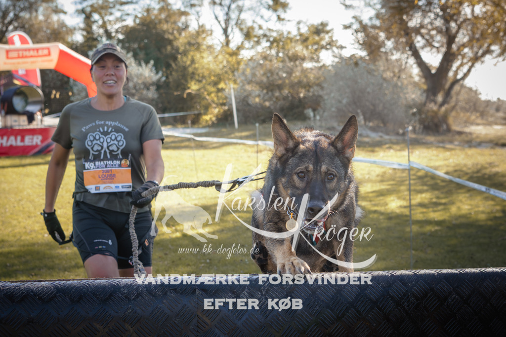 1203_ZZ94438 | kk-dogfotos