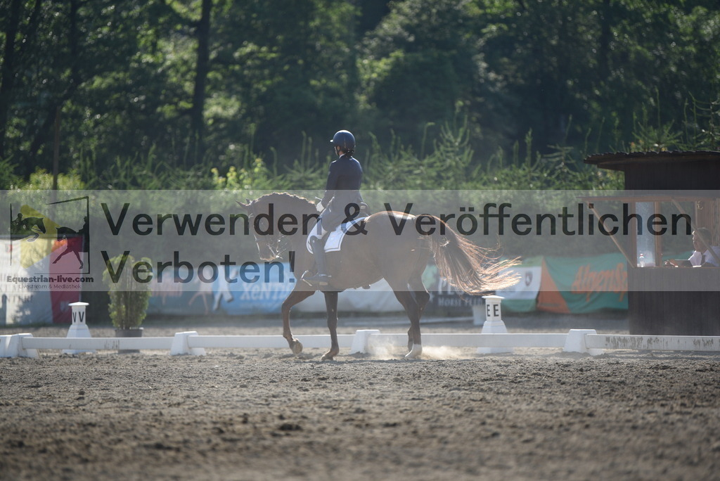 DSC_2982 | equestrian-live-com