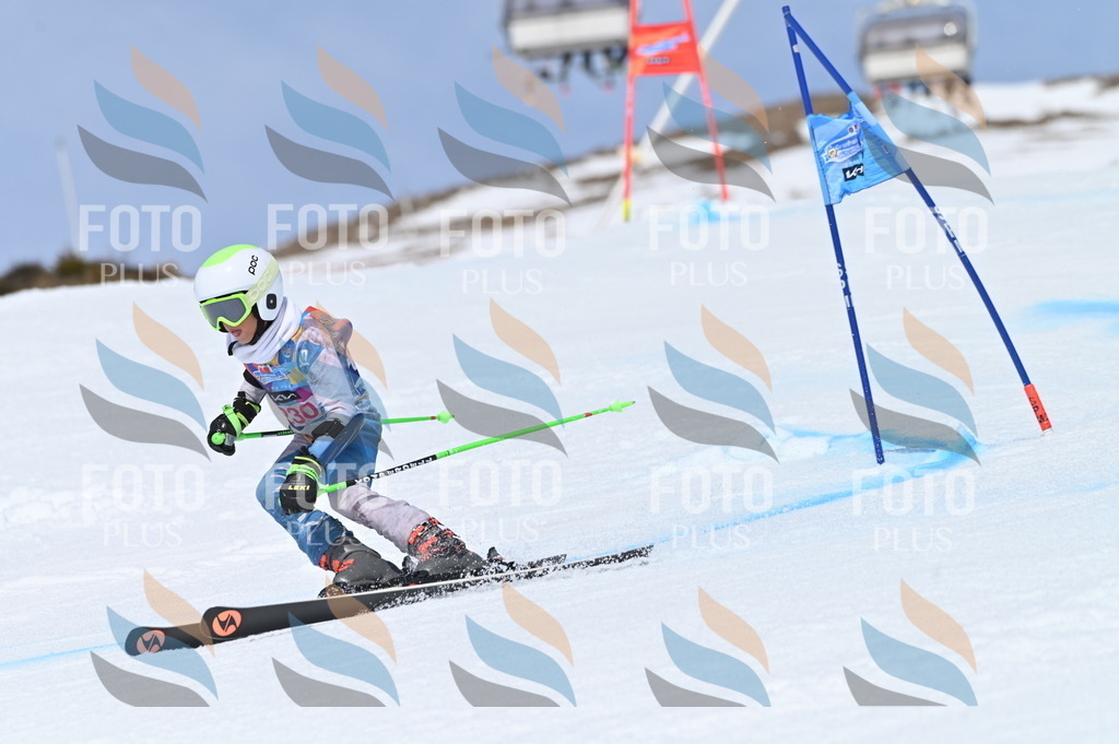 BGV_1507 | holidayphoto