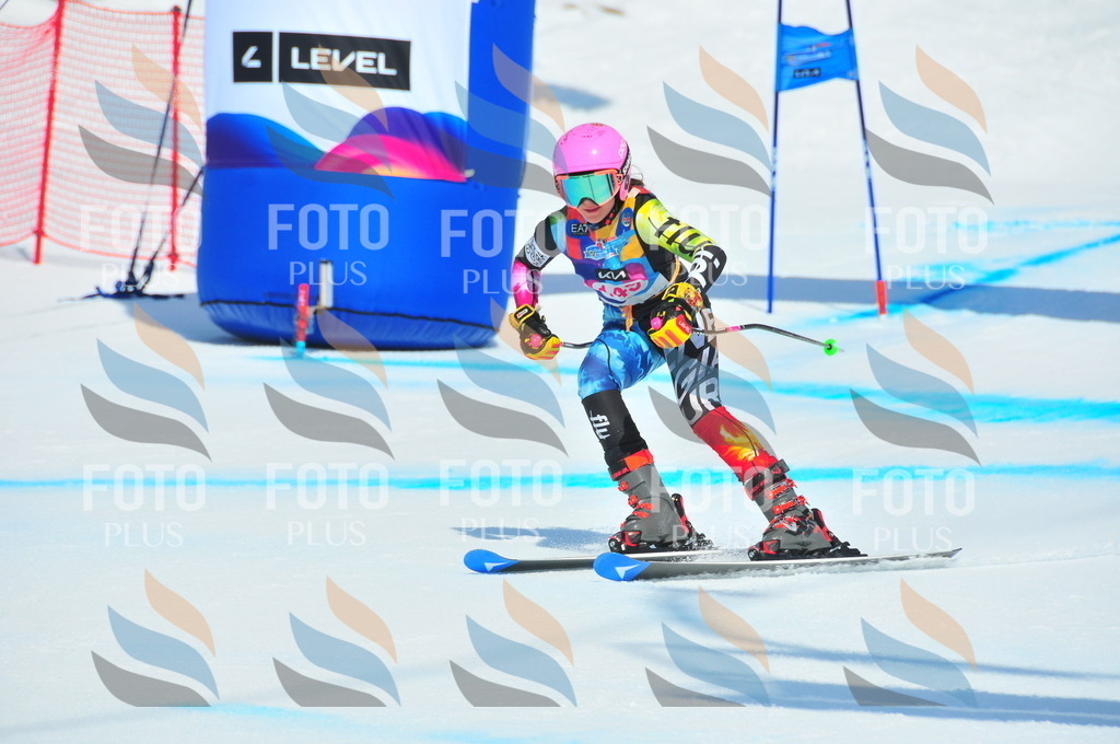 DSC_5069 | holidayphoto