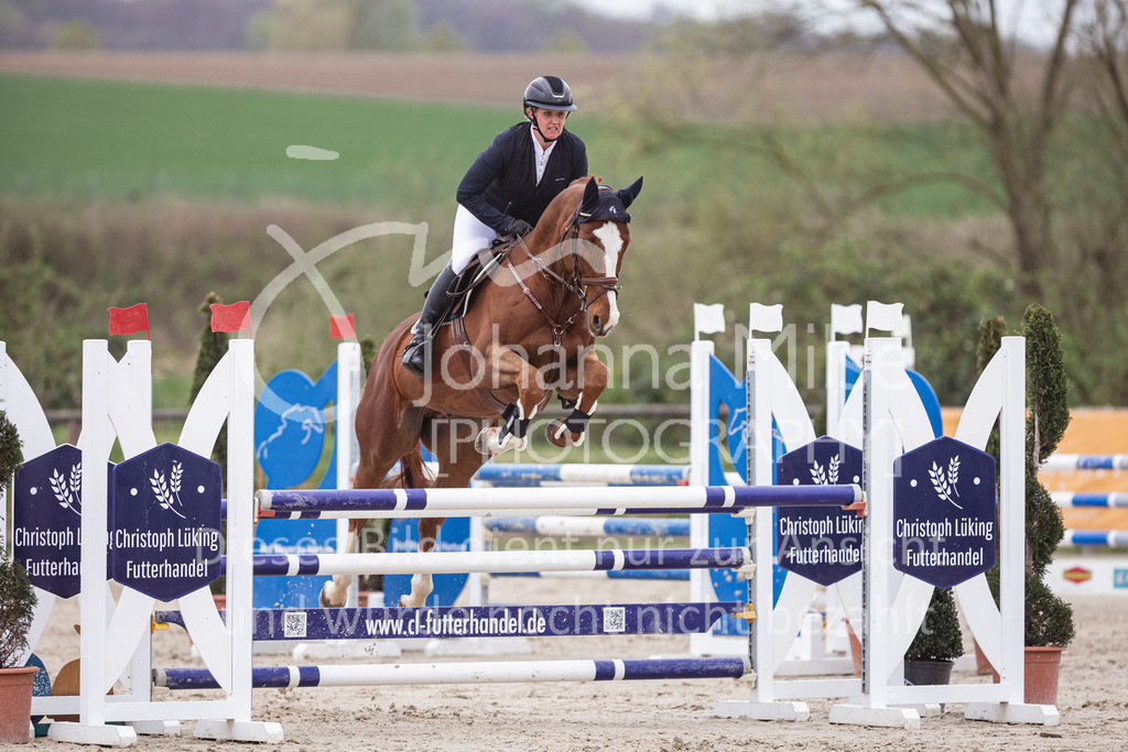 250417_Springpferde-L2-330 | Deine schönsten Turniermomente als professionelle Fotos! Entdecke hochwertige Pferdesport-Fotografie im Online-Shop. Jetzt Fotos finden & bestellen!