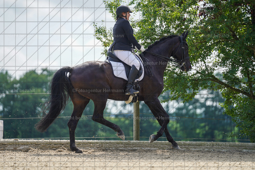 20230826-FAH05751 | Forstinning, 2023, Dressurturnier, Turniersportbilder, Turnierfotografen Bayern, Fotoagentur Herrmann, Reitsportfotografie, Turnierbilder
