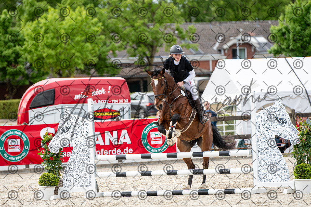 KPT_7014 | andre_photographic