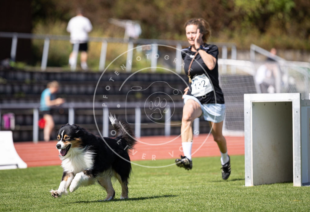 Pfotenfotografie_DV3A8817 | Hundefotografie, Tierfotograf, Pfotenfotografie, Fotoshooting Hund, Hunde Portrait, Hundesport, Hundeportraits, Heideshooting, Hunde, Sportfotograf, Hundefotograf, Turnierhundsport, THS,  - Realisiert mit Pictrs.com