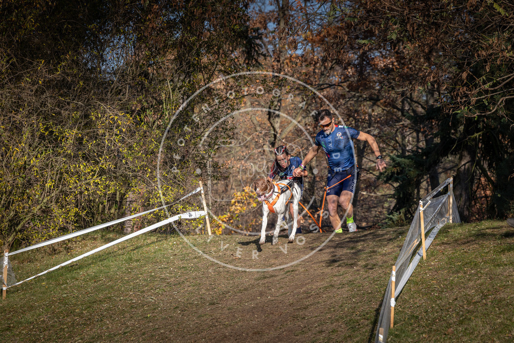 CaniXpix_0L8A8513 | Hundefotografie, Tierfotograf, Pfotenfotografie, Fotoshooting Hund, Hunde Portrait, Hundesport, Hundeportraits, Heideshooting, Hunde, Sportfotograf, Hundefotograf, Turnierhundsport, THS,  - Realisiert mit Pictrs.com