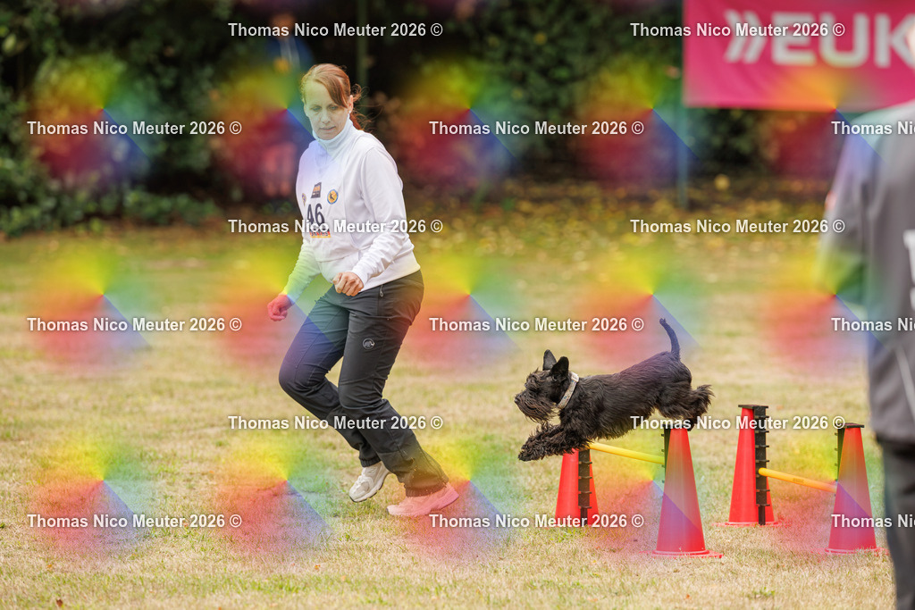 Thomas_Nico_Meuter(C)_23. August 2026_223A8643 | Bild von Thomas Nico Meuter - Realisiert mit Pictrs.com
