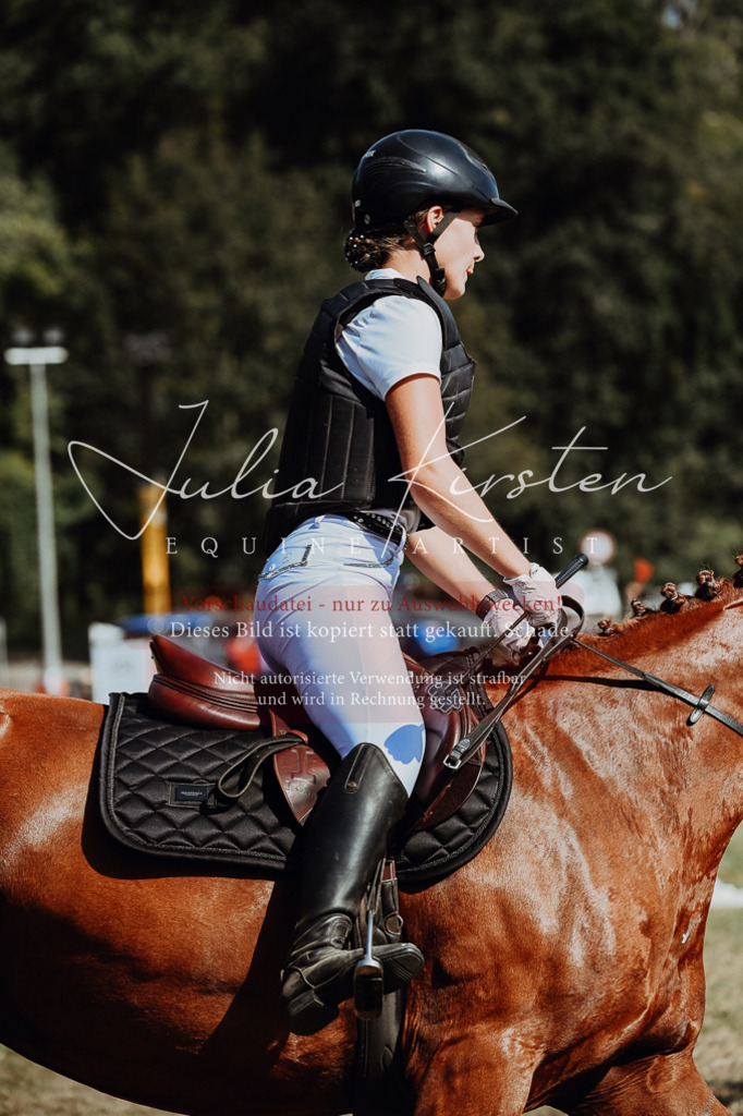 DSC_9436 | Pferde- und Turnierfotografie in Westsachsen. Pferdeportraits, Auftragszeichnungen und intuitive Kunst.