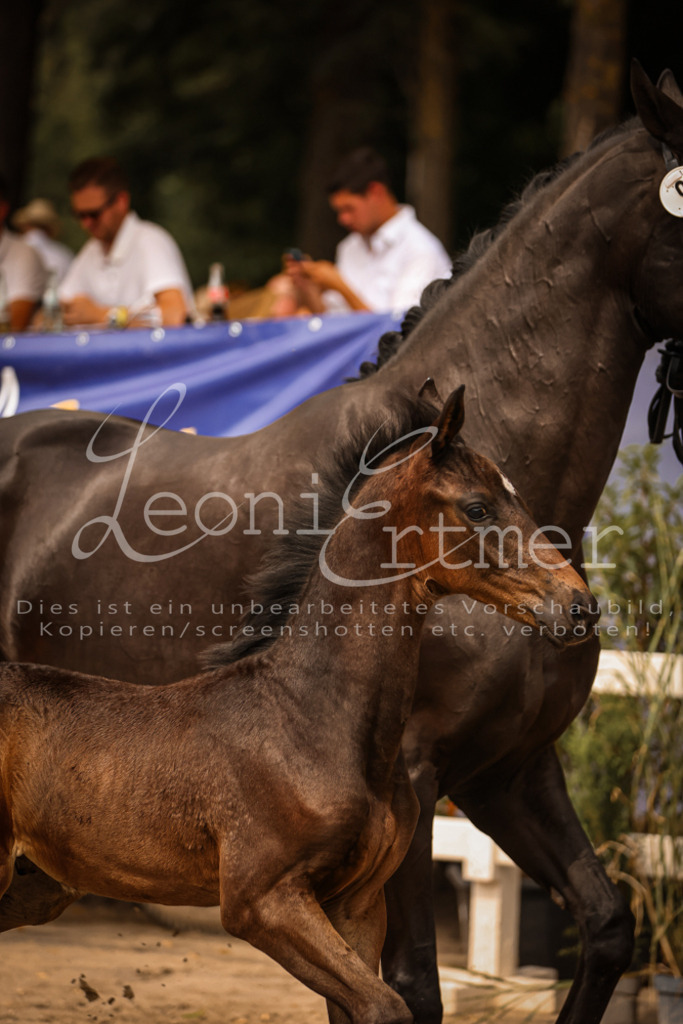 SaPA00132 | Leoni Ertmer Photography - Realisiert mit Pictrs.com