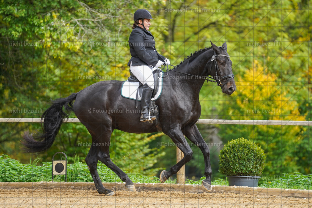 20221007-FAH09838 | Diessen am Ammersee, 2022, Dressur- und Springturnier, Reitsportbilder, Turnierfotografen Bayern, Pferdefotografen, Fotoagentur Herrmann, Turnierbilder