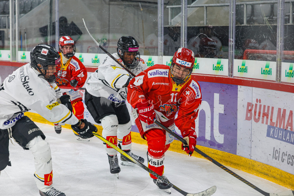 701A3006 | Sportbilder, Sportfotograf, Hochzeits- und Eventfotografin, Flugshows, Portraits und Tiershooting, Aviation, Downhill, Nationalleague, Swissleague, International