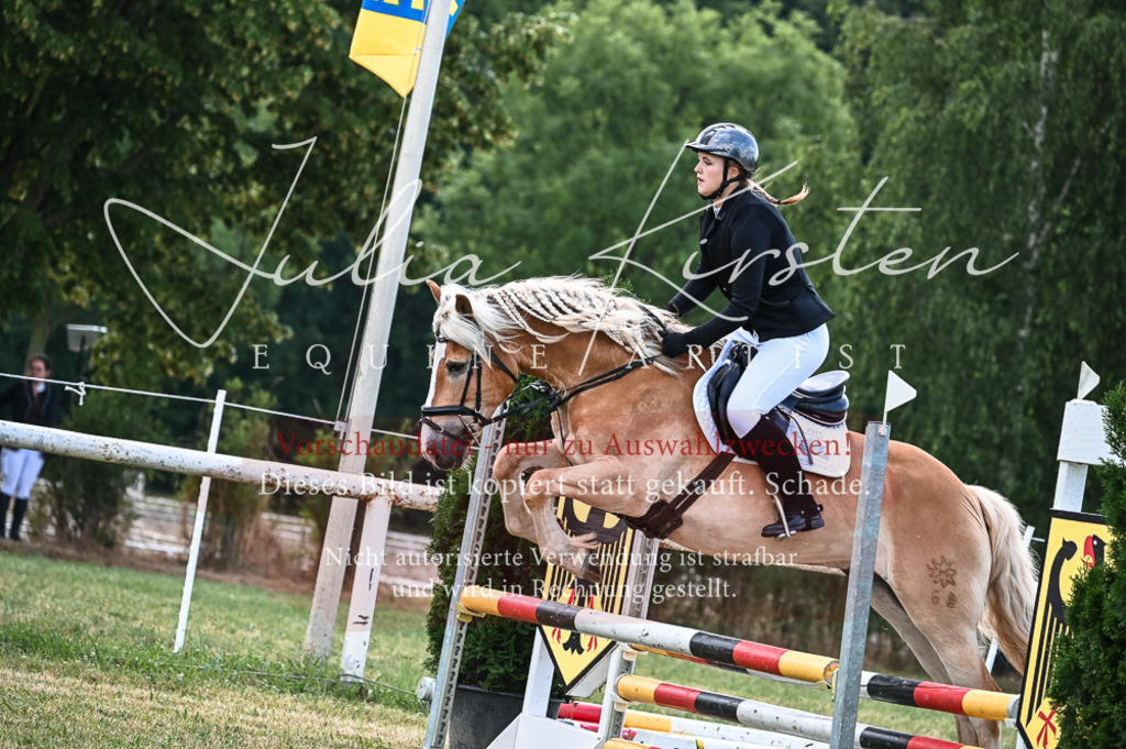 DSC_8110 | Pferde- und Turnierfotografie in Westsachsen. Pferdeportraits, Auftragszeichnungen und intuitive Kunst.