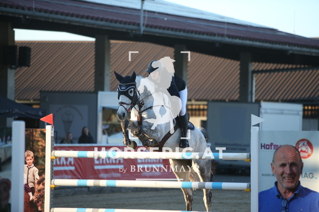 PP016536 | Willkommen bei Brunnmayr - Design & Fotografie – Ihrem Spezialisten für Reitturniere und Pferdeveranstaltungen in Oberösterreich, Salzburg und Bayern! Seit über 17 Jahren sind wir leidenschaftlich dabei.