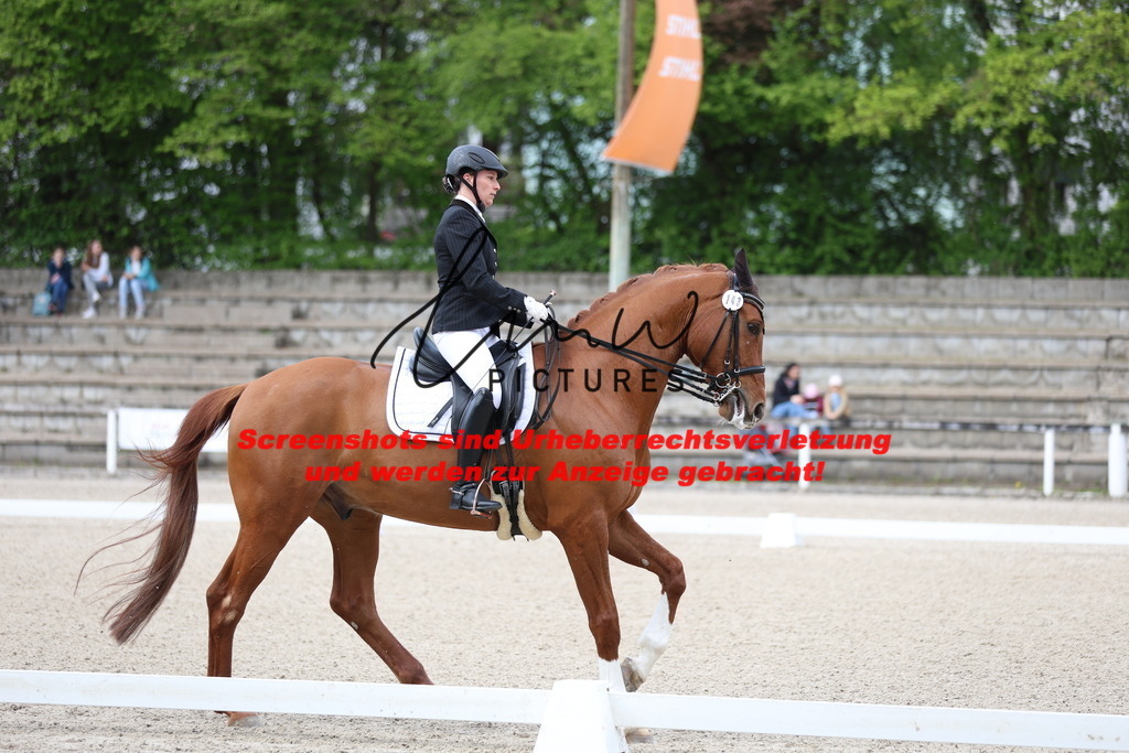 A40A3991 | lmwpictures - Realisiert mit Pictrs.com